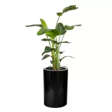 Donica z włókna szklanego D901BA czarny połysk