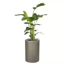 Donica z włókna szklanego D901BA szary mat