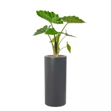 Donica z włókna szklanego D901BC antracyt mat