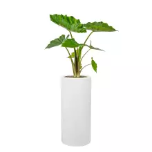 Donica z włókna szklanego D901BC biały połysk