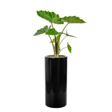 Donica z włókna szklanego D901BC czarny połysk