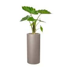 Donica z włókna szklanego D901BC szary mat