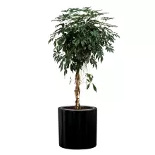 Donica z włókna szklanego D901B czarny mat