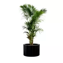 Donica z włókna szklanego D901C czarny mat