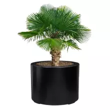 Donica z włókna szklanego D901ED czarny mat