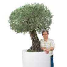 Donica z włókna szklanego D901ED biały mat