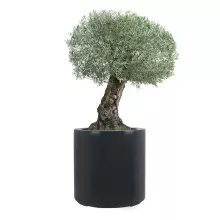 Donica z włókna szklanego D901E antracyt mat