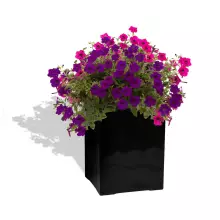 Donica z włókna szklanego D973N czarny połysk