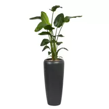 Donica z włókna szklanego D982B antracyt mat