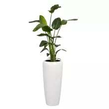 Donica z włókna szklanego D982B biały połysk