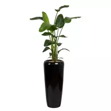 Donica z włókna szklanego D982B czarny połysk