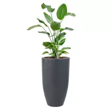 Donica z włókna szklanego D982F antracyt mat