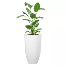 Donica z włókna szklanego D982F biały połysk