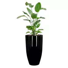 Donica z włókna szklanego D982F czarny połysk