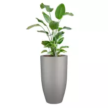 Donica z włókna szklanego D982F szary mat