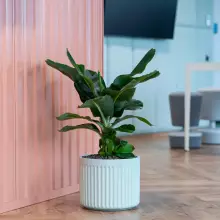 Donica z włókna szklanego LEO29 szałwiowy mat