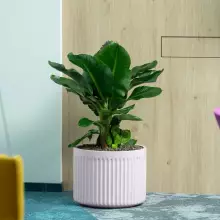 Donica z włókna szklanego LEO33 różowy mat