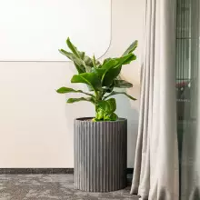 Donica z włókna szklanego RC50 grafitowy beton