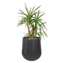 Donica z włókna szklanego SQ65 antracyt mat