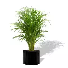 Donica z włókna szklanego D101A czarny połysk