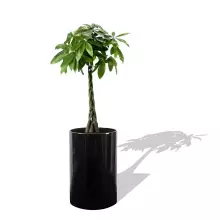 Donica z włókna szklanego D101C czarny połysk