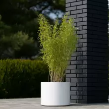 Donica z włókna szklanego D101CA biały połysk