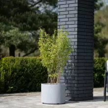Donica z włókna szklanego D101CA szary beton