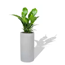 Donica z włókna szklanego D101D szary beton