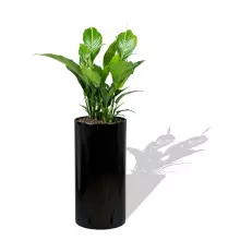 Donica z włókna szklanego D101D czarny połysk