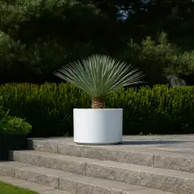 Donica z włókna szklanego D101DC biały połysk