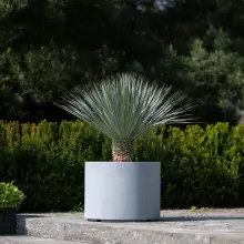 Donica z włókna szklanego D101DC szary beton