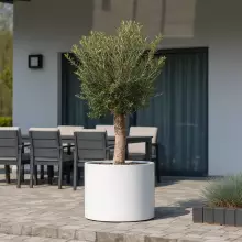 Donica z włókna szklanego D101ED biały połysk