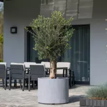 Donica z włókna szklanego D101ED szary beton