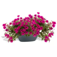 Donica z włókna szklanego D108A antracyt mat