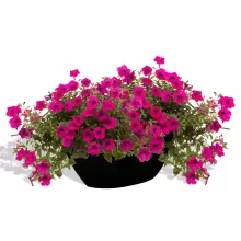 Donica z włókna szklanego D108A czarny połysk