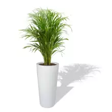 Donica z włókna szklanego D208C biały połysk