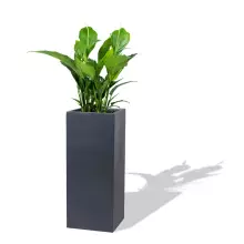 Donica z włókna szklanego D273C antracyt mat