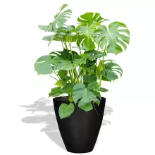 Donica z włókna szklanego D280C czarny połysk