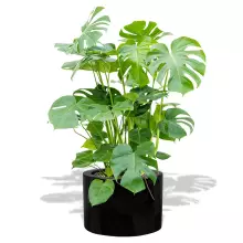 Donica z włókna szklanego D901A czarny połysk