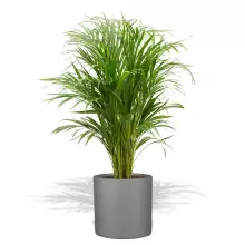 Donica z włókna szklanego D901B szary mat