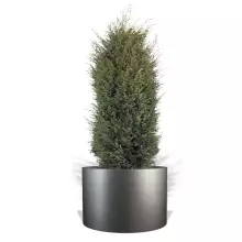 Donica z włókna szklanego D901ED szary mat