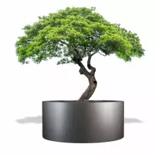 Donica z włókna szklanego D901GD szary mat