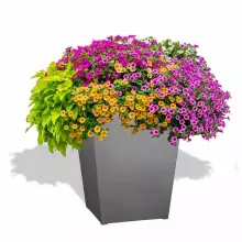 Donica z włókna szklanego D902F szary mat