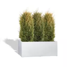 Donica z włókna szklanego D913H biały połysk