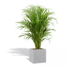 Donica z włókna szklanego D92A szary beton