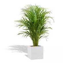 Donica z włókna szklanego D92A biały połysk