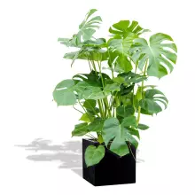 Donica z włókna szklanego D92B czarny połysk