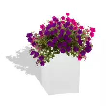 Donica z włókna szklanego D973N biały połysk