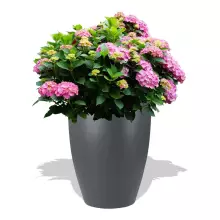 Donica z włókna szklanego D982C antracyt mat