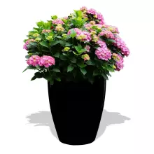 Donica z włókna szklanego D982C czarny połysk